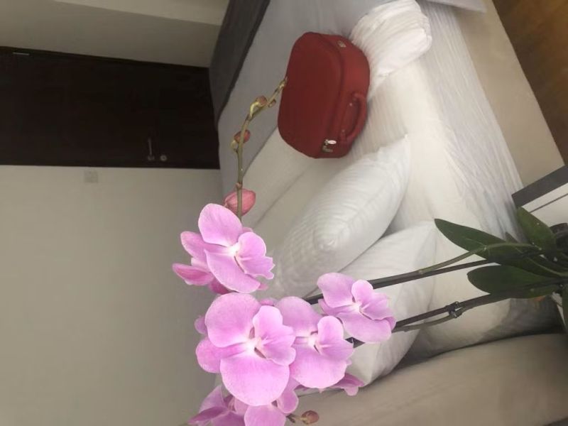 Miray Guest House Boutique Hotel
