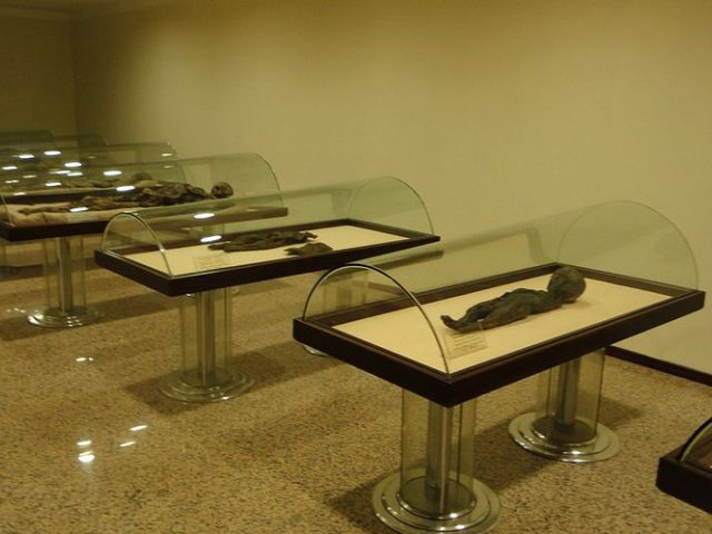 Kurban Bayramı Özel Orta Karadeniz Amasya Samsun Sinop Kastamonu Turu (1 Gece Konaklamalı)