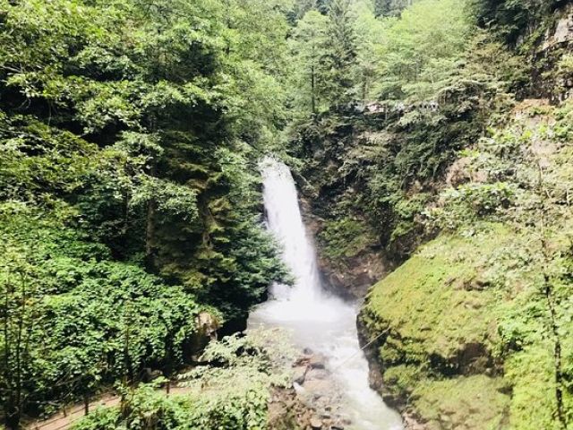 Uçaklı Karadeniz Yaylaları ve Batum Turu (3 Gece Otel Konaklamalı)