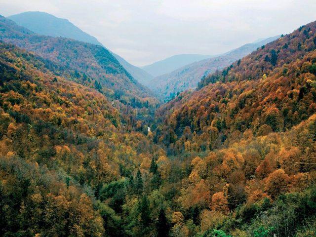 Kastamonu Kanyonlar Safranbolu ve Zonguldak Turu 1 Gece