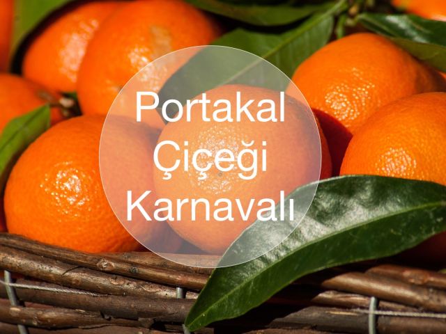 14. Adana Portakal Çiçeği Festivali Turu