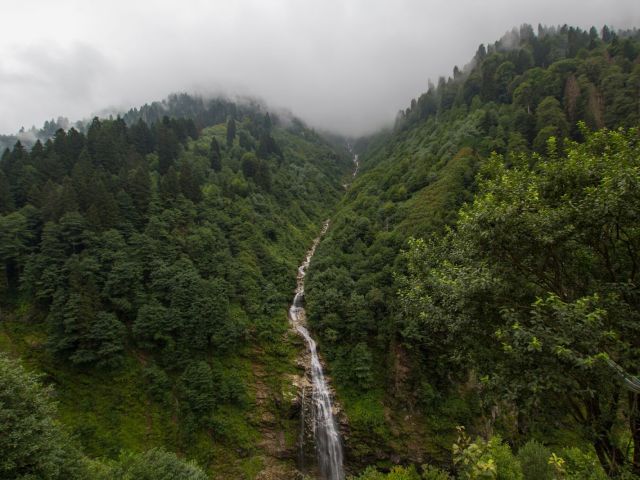 Kurban Bayramı Özel Uçaklı Butik Batum ve Ayder Yaylası Turu (2 Gece Batum Konaklamalı)