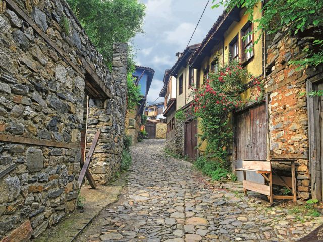 Bursa İznik Trilye Mudanya Gölyazı Turu / 1 Gece Otel Konaklaması