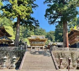 Platinum Doğu Asya’nın Güneşi “Japonya” (NRT-KIX) THY ile 6 gece Tokyo (3) – Hakone – Osaka (3) – Kyoto – Nara | Tüm turlar ve giriş ücretleri dahil
