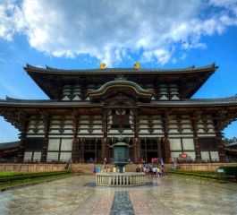 MEGA JAPONYA & GÜNEY KORE TURU TÜRK HAVA YOLLARI İLE 7 GECE Koyo Dönemi ve Kasım Ara Tatil Özel