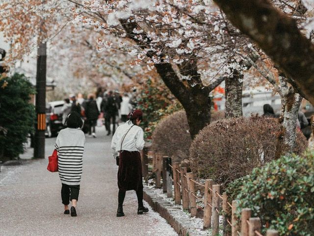 MEGA JAPONYA & GÜNEY KORE TURU Türk Hava Yolları ile 10 Gece Konaklama
