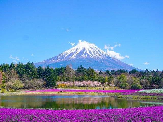 MEGA JAPONYA & GÜNEY KORE TURU Türk Hava Yolları ile 10 Gece Konaklama