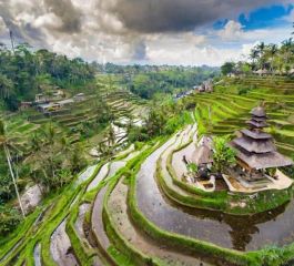 Rüya Ada Bali - Ubud Turu 7 Gece Türk Havayolları İle Ramazan Bayramı Özel IST-DPS