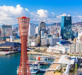 Grand Japonya Turu NRT-KIX THY