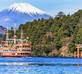 Grand Japonya Turu THY 