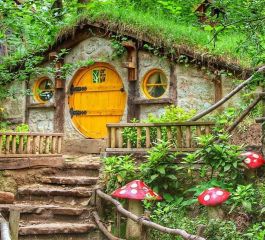 1 Mayıs Özel Günübirlik Ormanya Hobbit Evleri Sapanca Maşukiye Teleferik Turu