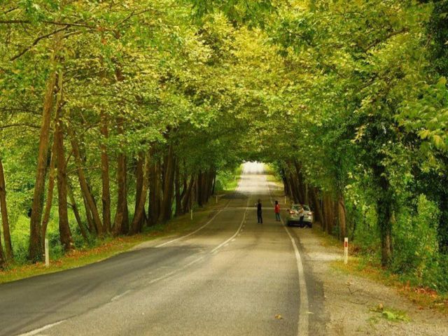 Batı Karadeniz (Safranbolu- Amasra- Zonguldak)Turu 1 Gece