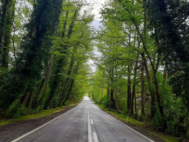 Sevgililer Günü Özel Uçaklı Nergis Çiçeği ve Datça Badem Çiçeği Festivali 2 Gece