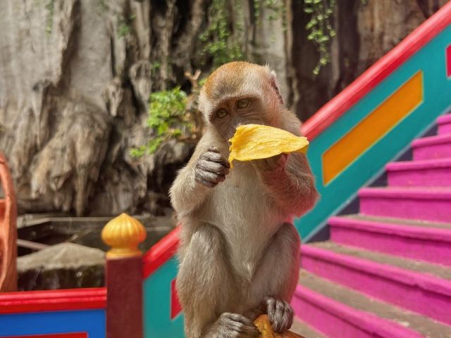 Bangkok - Pattaya Turu 7 Gece Saudi Havayolları İle