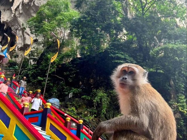 Bangkok -Pattaya - Phuket Turu 7 Gece Ekstra Turlar Dahil Saudi Havayolları İle