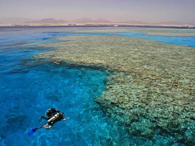 Kurban Bayramı Prestij Kahire Sharm El Sheıkh Turu 6 Gece