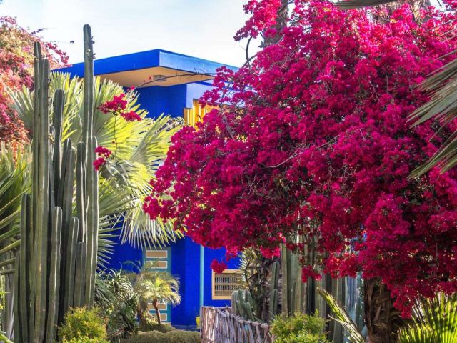 Elegant Fas & Çöl Safari Air Arabia Hava Yolları ile 4 Gece